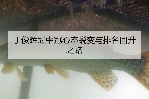 丁俊晖冠中冠心态蜕变与排名回升之路