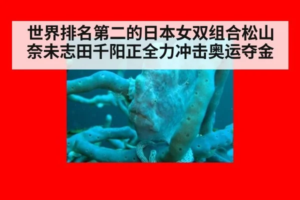 世界排名第二的日本女双组合松山奈未志田千阳正全力冲击奥运夺金