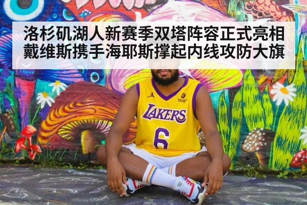 洛杉矶湖人新赛季双塔阵容正式亮相 戴维斯携手海耶斯撑起内线攻防大旗